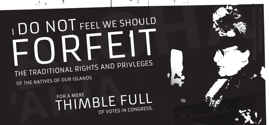 I do not feel we should forfeit the traditional rights and privleges of the natives of our islands for a mere thimble full of votes in congress -- Alice Kamokilaikawai Campbell